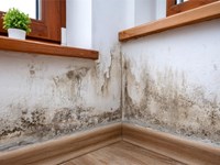 ¿Cuáles pueden ser los motivos de las goteras y humedades de mi casa?